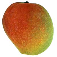 Bombay Mango