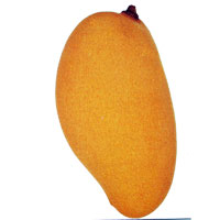 Lemon Meringue Mango