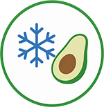 Cold hardy avocado