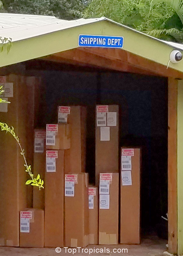 shipping department, plants in boxes shipping department, plants in boxes